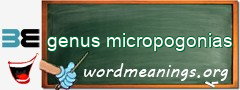 WordMeaning blackboard for genus micropogonias